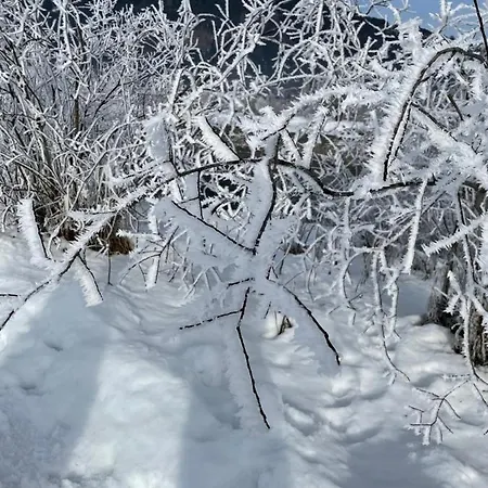 Schwaiger * Целль-ам-Зе