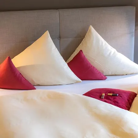 Schwaiger Апартаменты Целль-ам-Зе