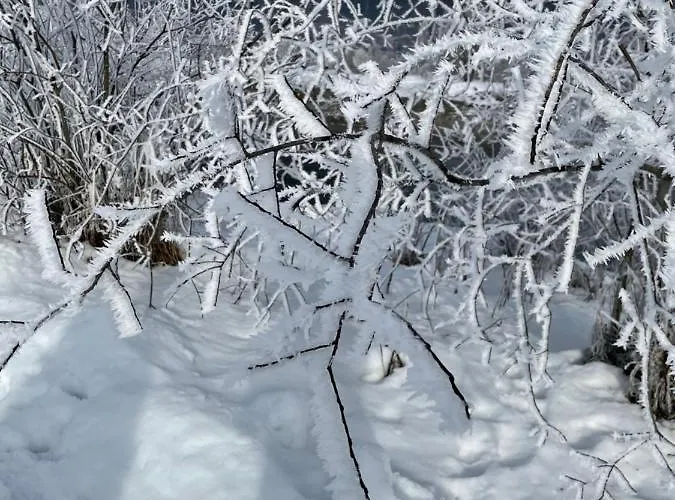 Schwaiger * Целль-ам-Зе