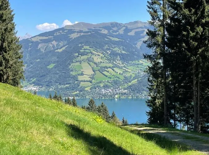 شقة شفايغر *