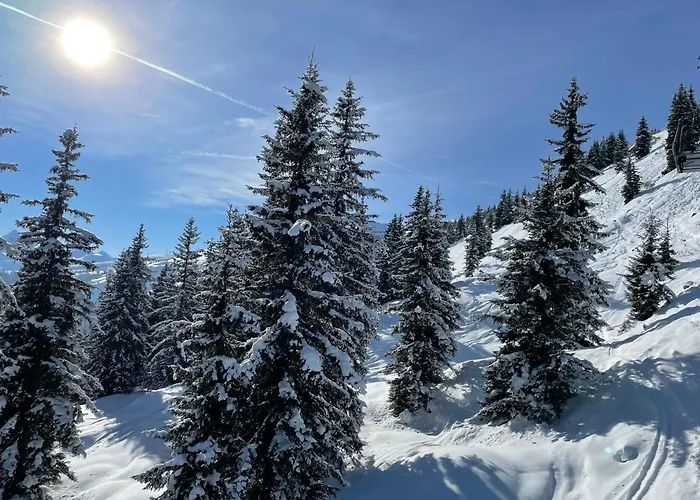 Апартаменты Schwaiger