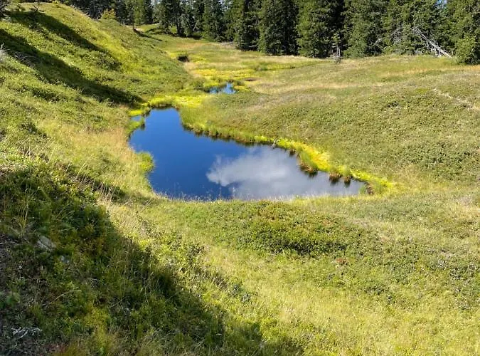 Апартаменты Schwaiger