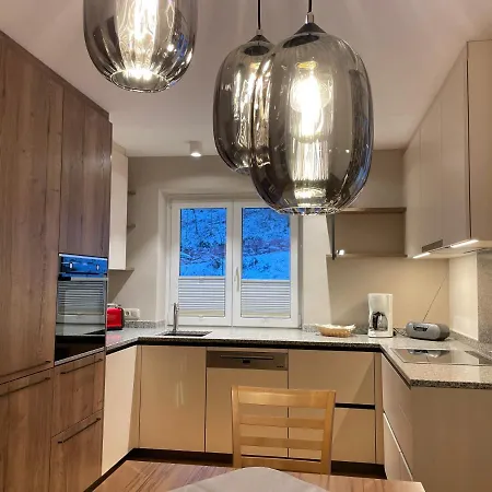 公寓 舒瓦戈尔公寓式酒店 滨湖采尔