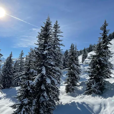 公寓 舒瓦戈尔公寓式酒店