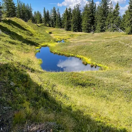 公寓 舒瓦戈尔公寓式酒店